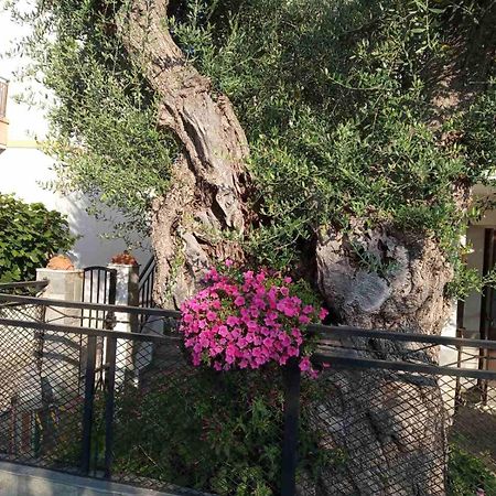 Aegean Balcony Villa Skala Kallirakhis Exterior photo