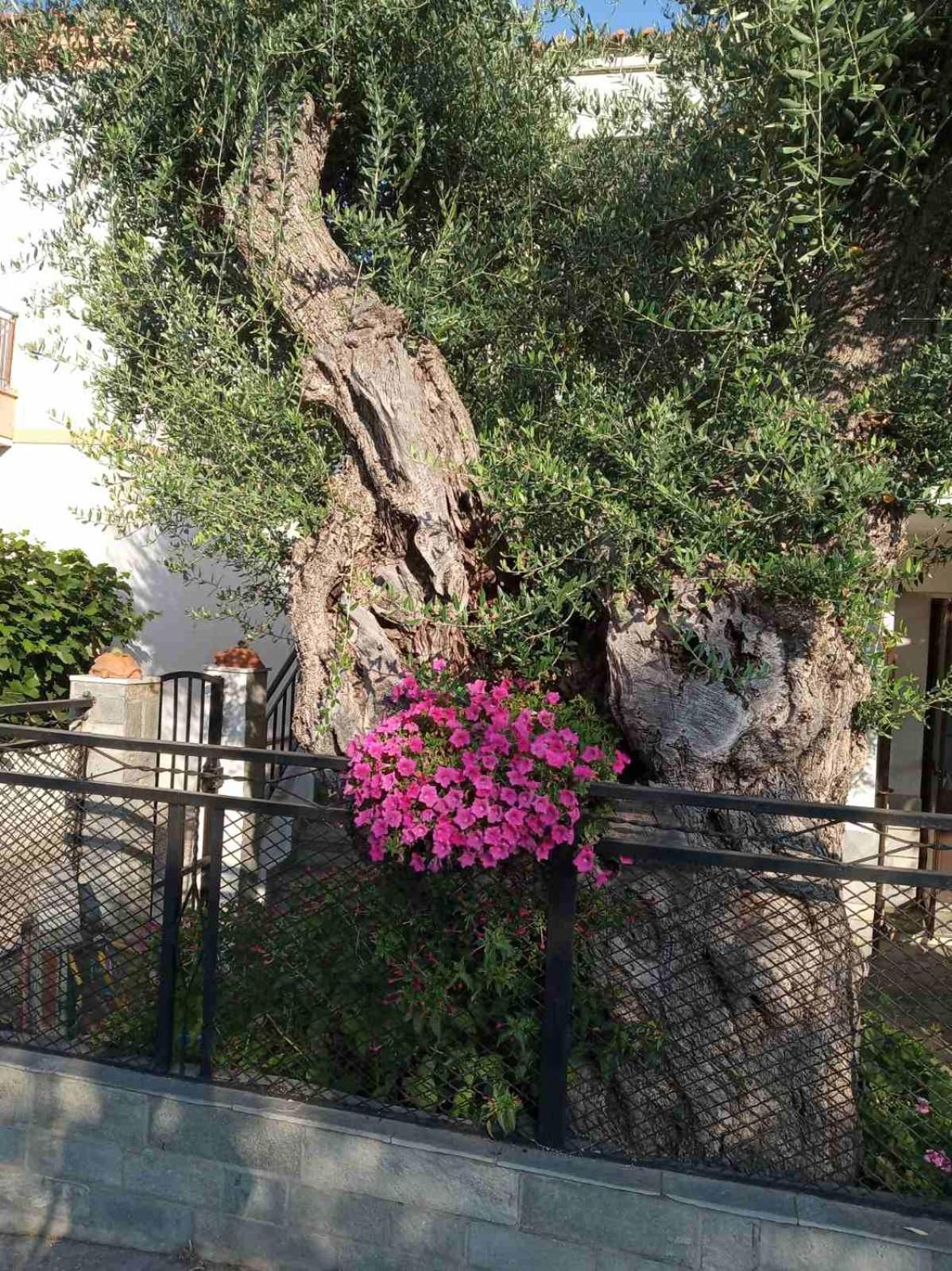 Aegean Balcony Villa Skala Kallirakhis Exterior photo